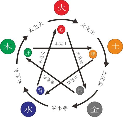 木多金缺|命中五行缺木的人怎么办 八字五行缺木怎么补